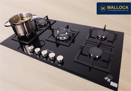 Bếp gas âm Malloca